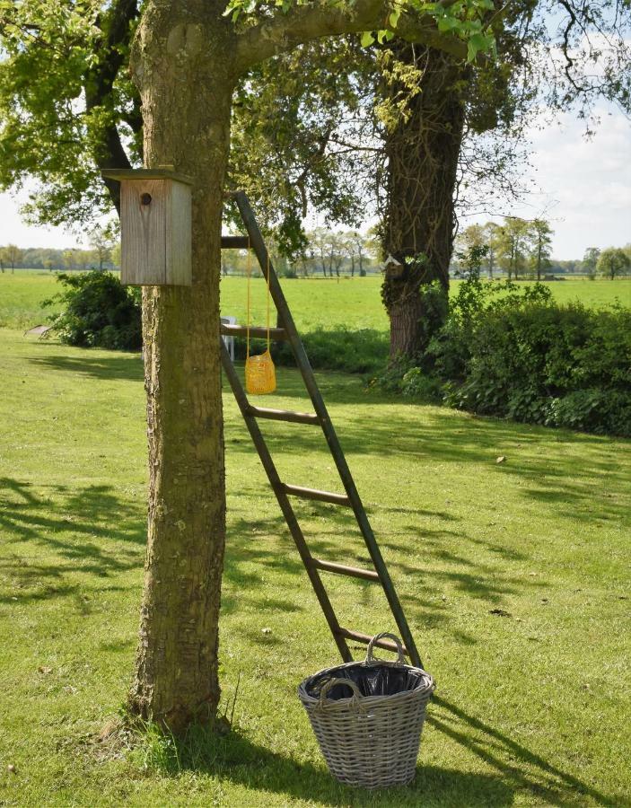 De Beddestee Bed & Breakfast